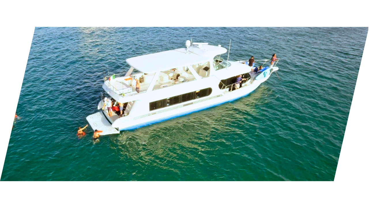 cabo-yacht-rental-superior-rental-charters-cabo-san-lucas-what-to-do-in-cabo-spring-break-2026-ismael-cabo (4)